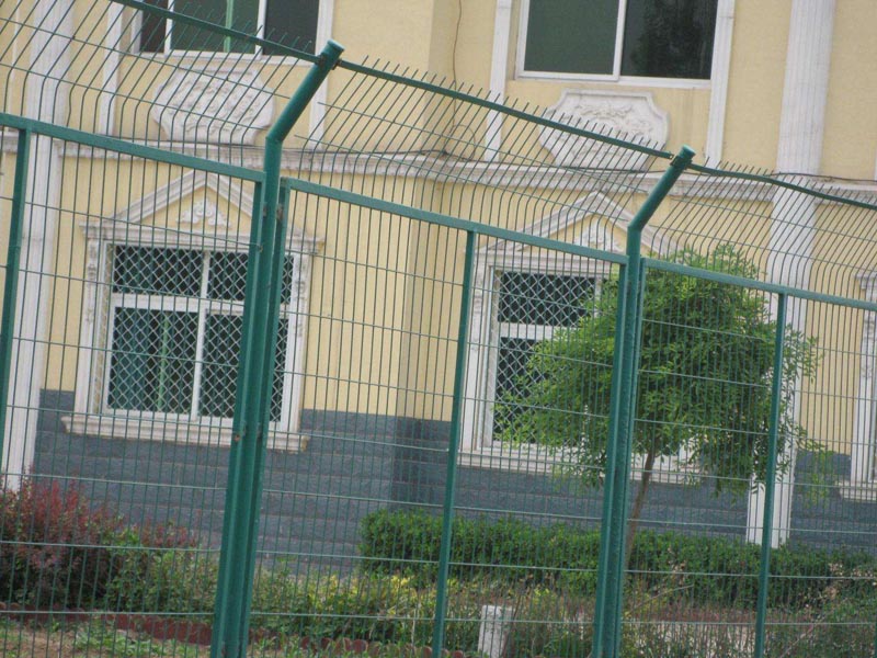 ����o(h��)�ھW(w��ng)���bЧ���D